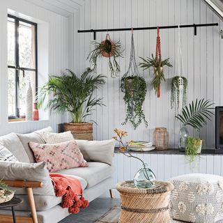 Living room with white panelled wall and black rail with hanging plants