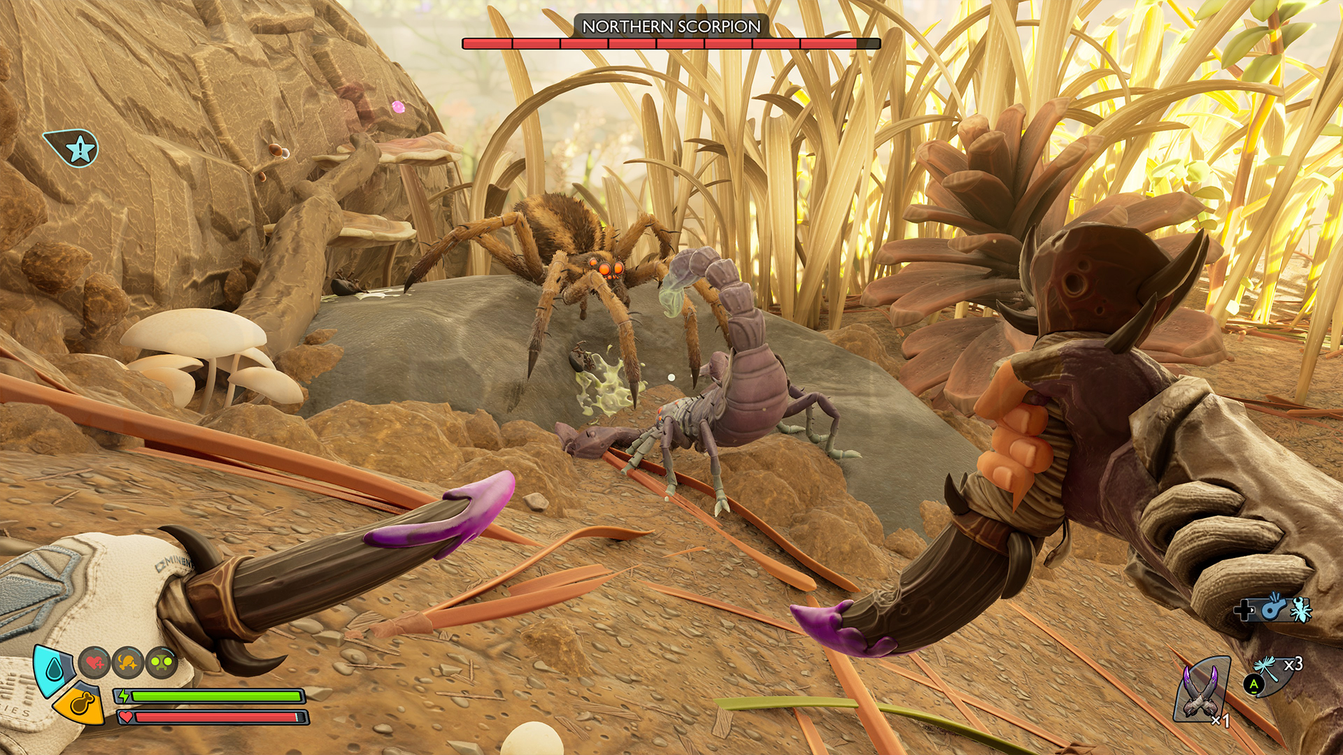 A play watches a Wolf Spider and a Northern Scorpion fight in Grounded 2