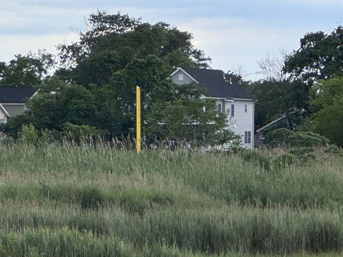 Apple iPhone 15 Pro zoom sample.
