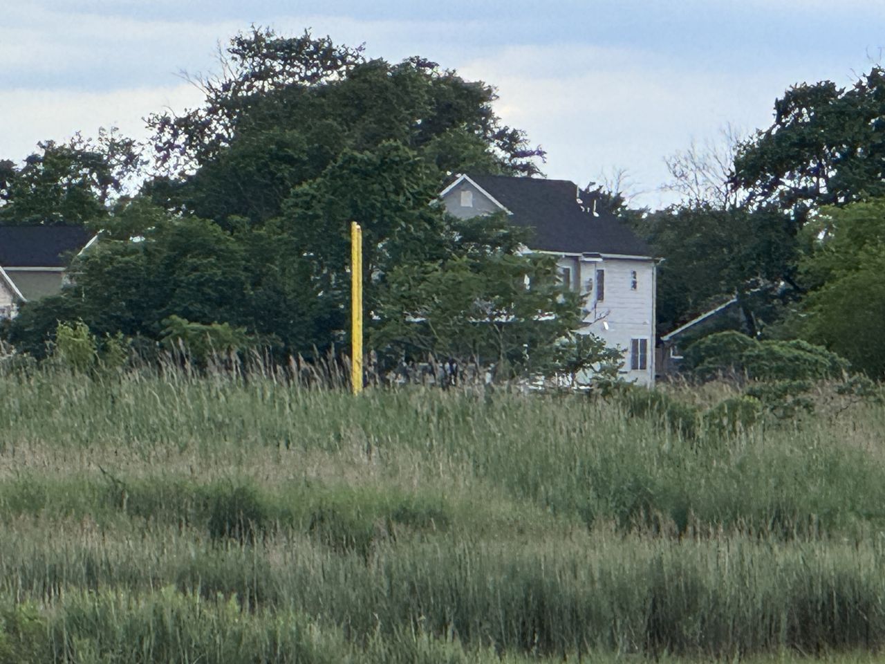 Apple iPhone 15 Pro zoom sample.