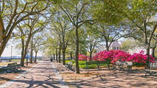 Charleston, USA