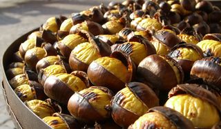 chestnuts-101217-02
