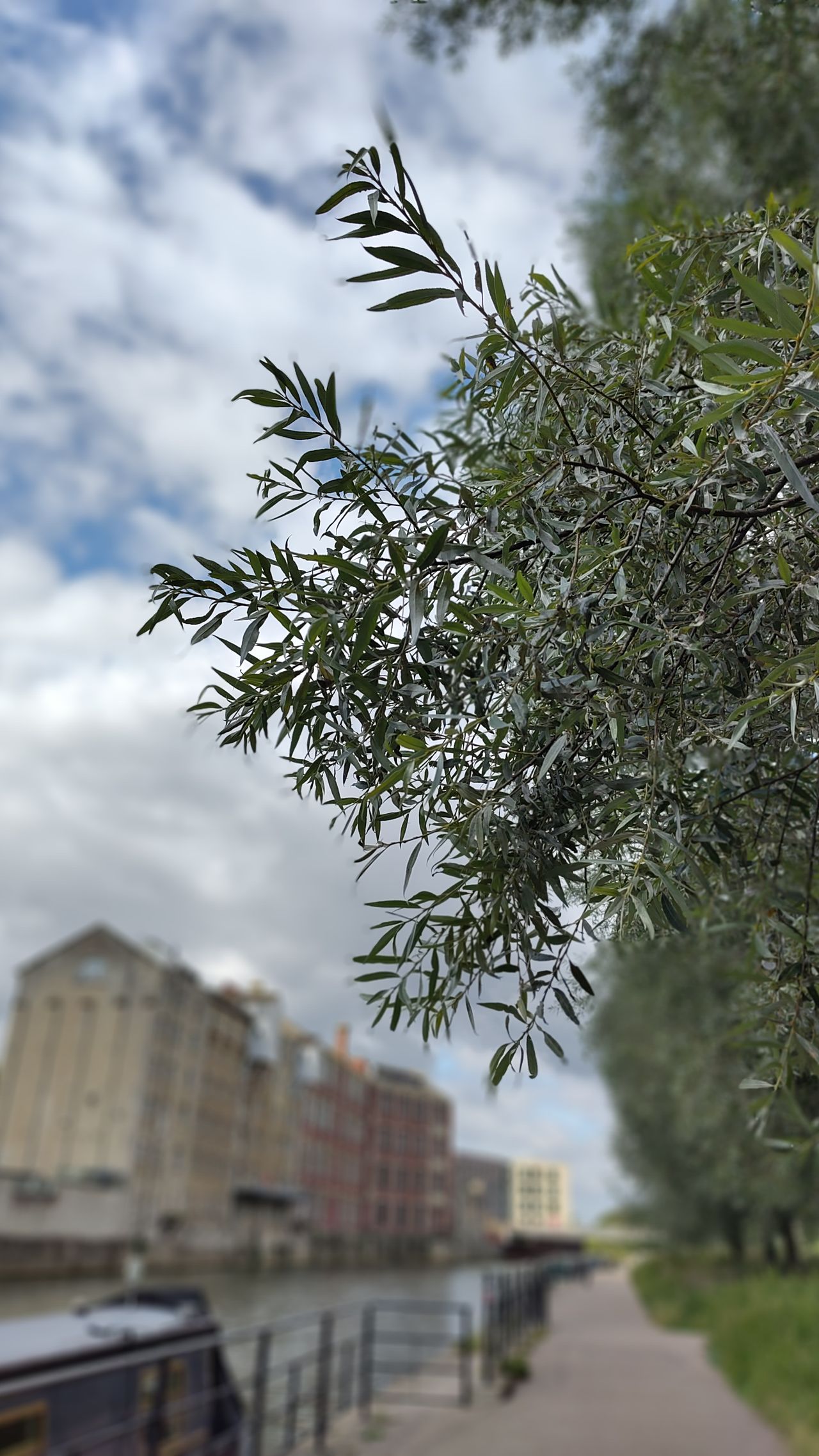 Images taken on the portrait mode of the Fairphone 5