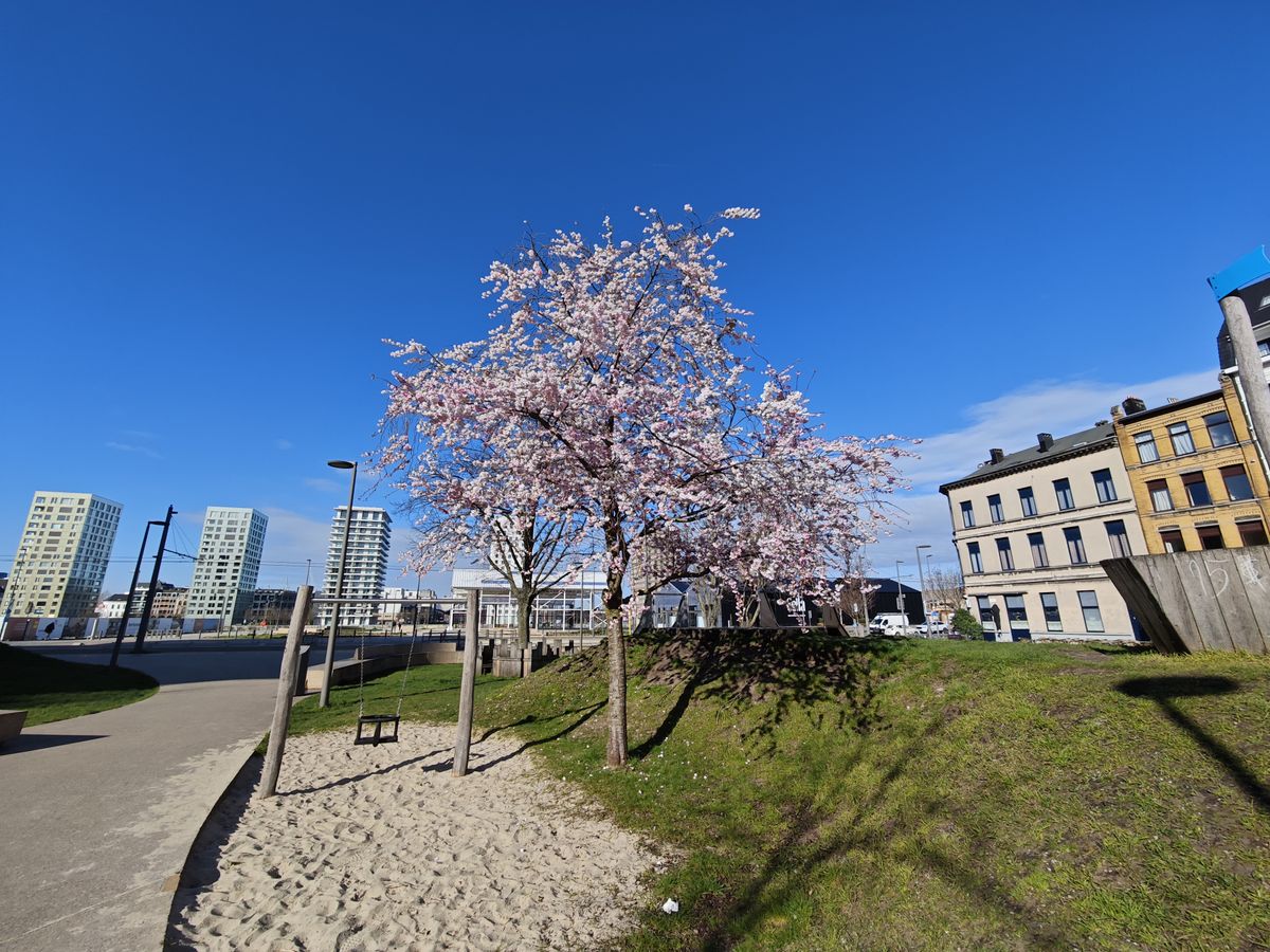 Xiaomi 14 camera