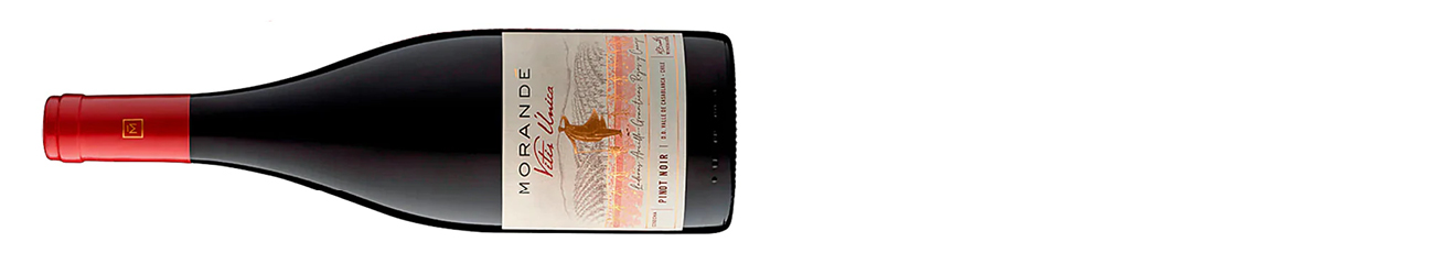Vina-Morande-Vitis-Unica-Pinot-Noir-Casablanca-Valley-Chile-2022-.jpg