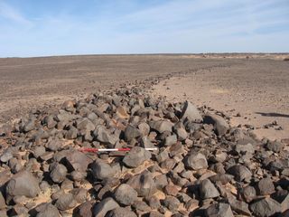 The structures come in various shapes and sizes, including one that curves off into the horizon (shown here).