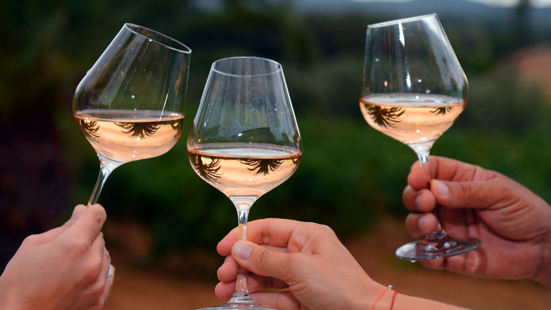 People cheer with glasses of rose wine oat the Chateau Sainte-Marguerite vineyard in La Londe-les-Maures. 