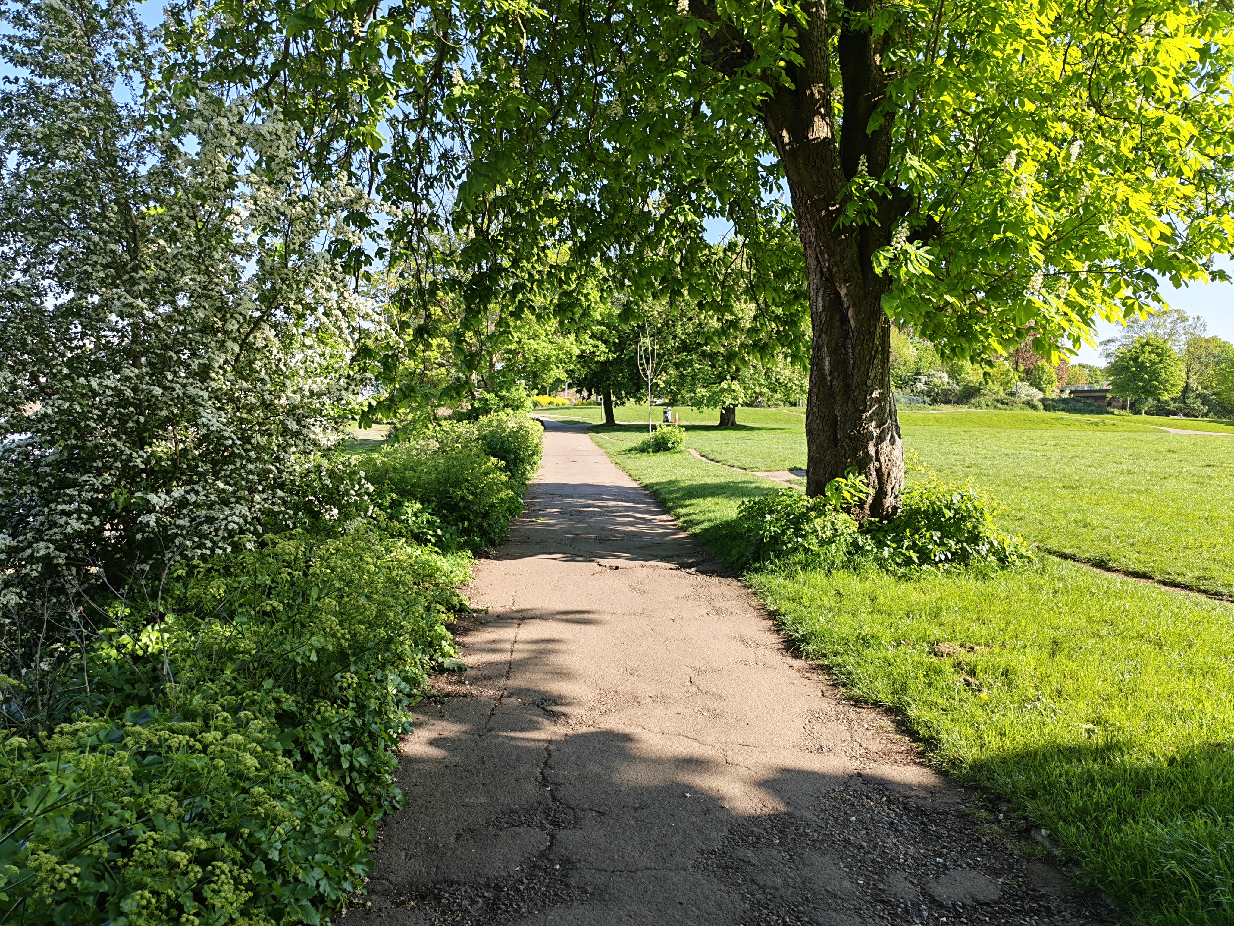 Honor 600 Pro camera samples