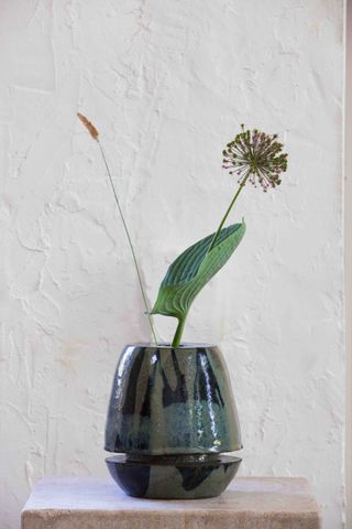 Vase by Sophie Dries