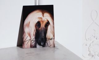Invitation card with a picture of a dog