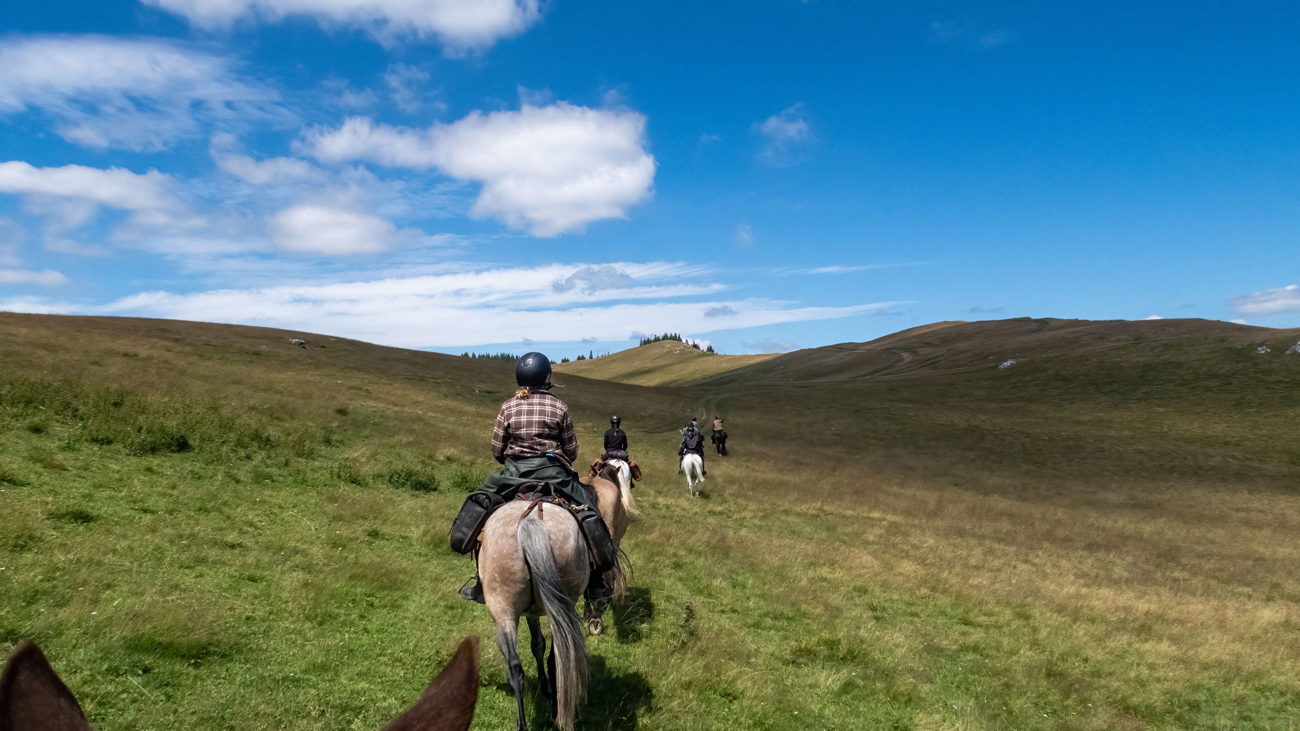 View of a group of riders riding single file through a green, wild, hilly landscape