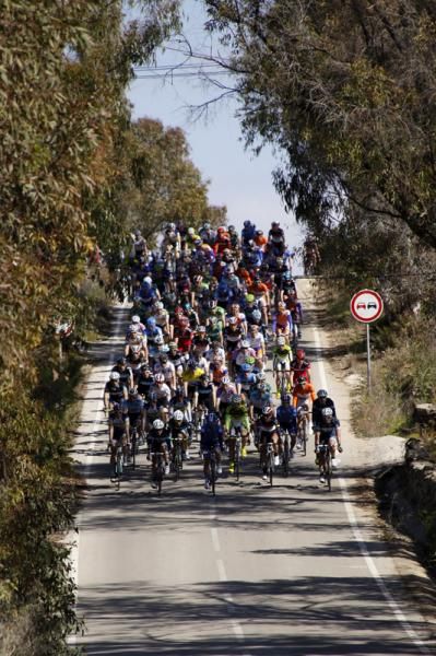 The peloton rolls along during the Volta ao Algarve's third stage.