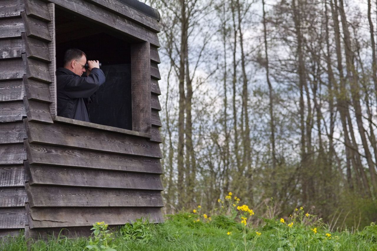 Man Looking Towards Forest Bird Watching