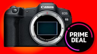 Canon R8 AP24 deal