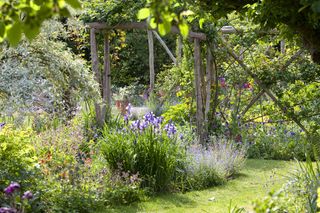 how to plan a cottage garden arbor in a border