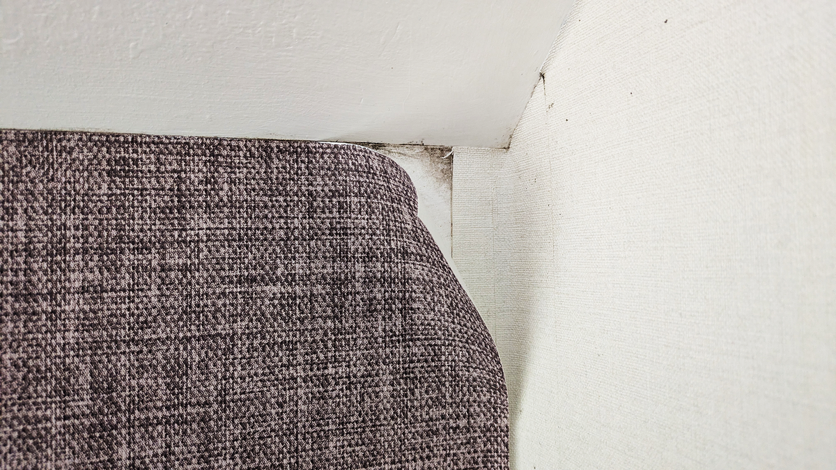 Peeling wallpaper with mold showing