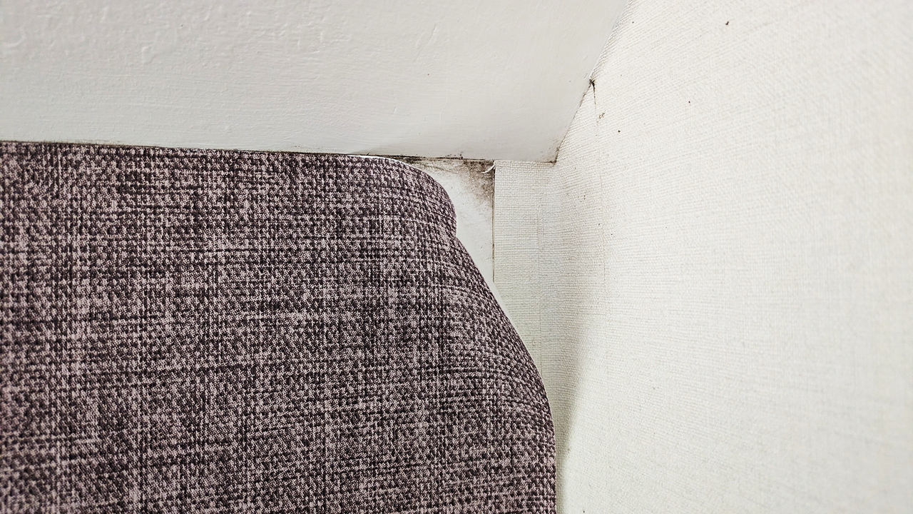 Peeling wallpaper with mold showing