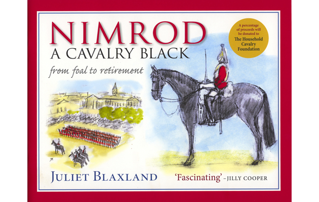 Nimrod Cavalry Black