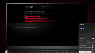 AMD Privacy View