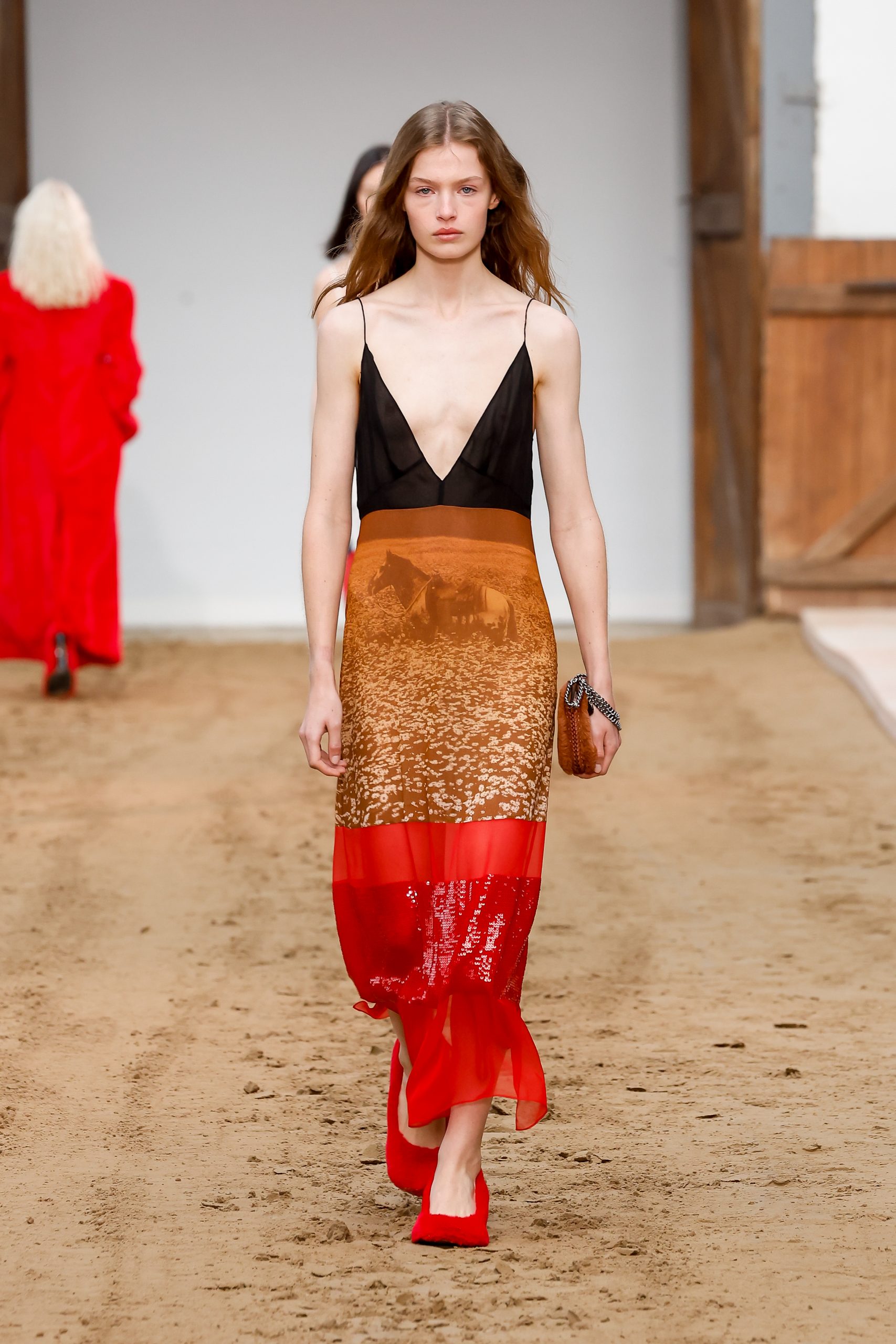 Stella McCartney Winter 2023 Photo Dress