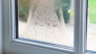 condensation and moisture on window
