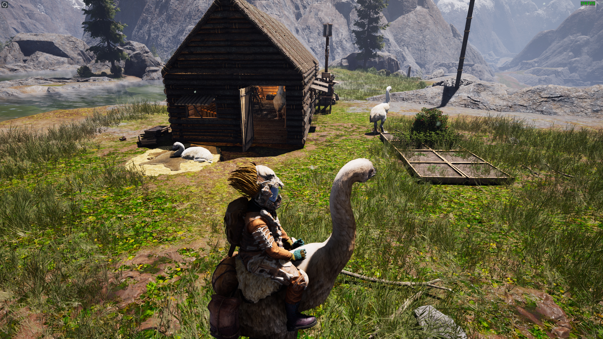 Eine Person sitzt auf einem riesigen Vogel in der Nähe einer Holzhütte, in deren Nähe sich andere große Vögel befinden