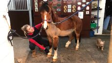 equestrian centre home-schooling