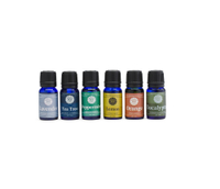 WOOLZIES Set Of 6 Favorites Essential Oils