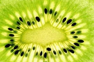 calories in fruit kiwi