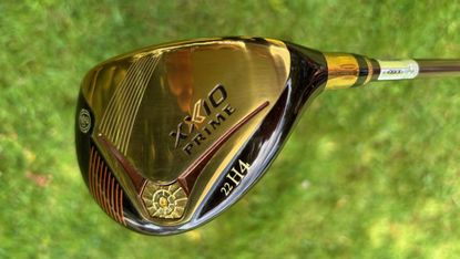 XXIO Prime Royal Edition Ladies Hybrid
