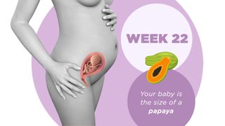 Pregnancy week by week 22