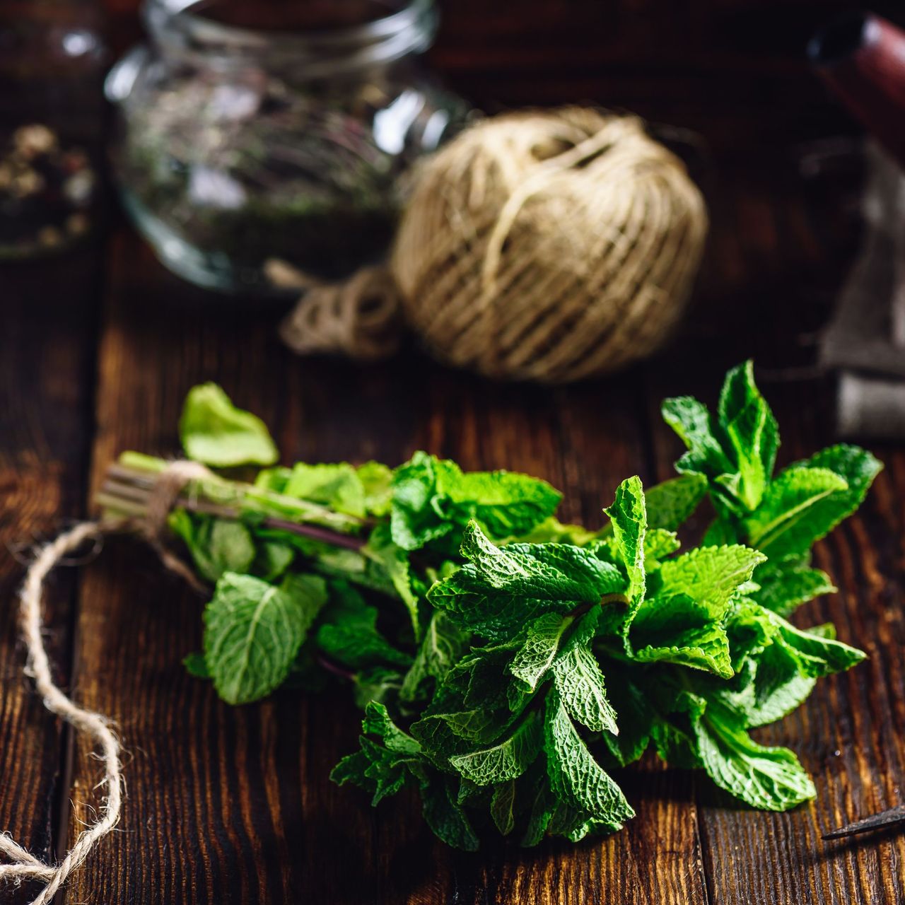 Bunch of Mint with Rusty Scissors. Tangle with Two Jars and Teapot on Backdrop.