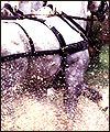 EE966994-850B-4F07-B843-AF835F1A3BA2.jpg