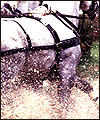 EE966994-850B-4F07-B843-AF835F1A3BA2.jpg