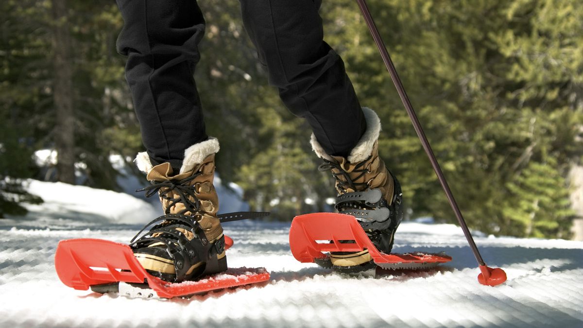 Snowshoeing vs cross country skiing which winter sport is for you
