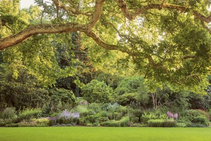 The garden's 156m Herbaceous Border.