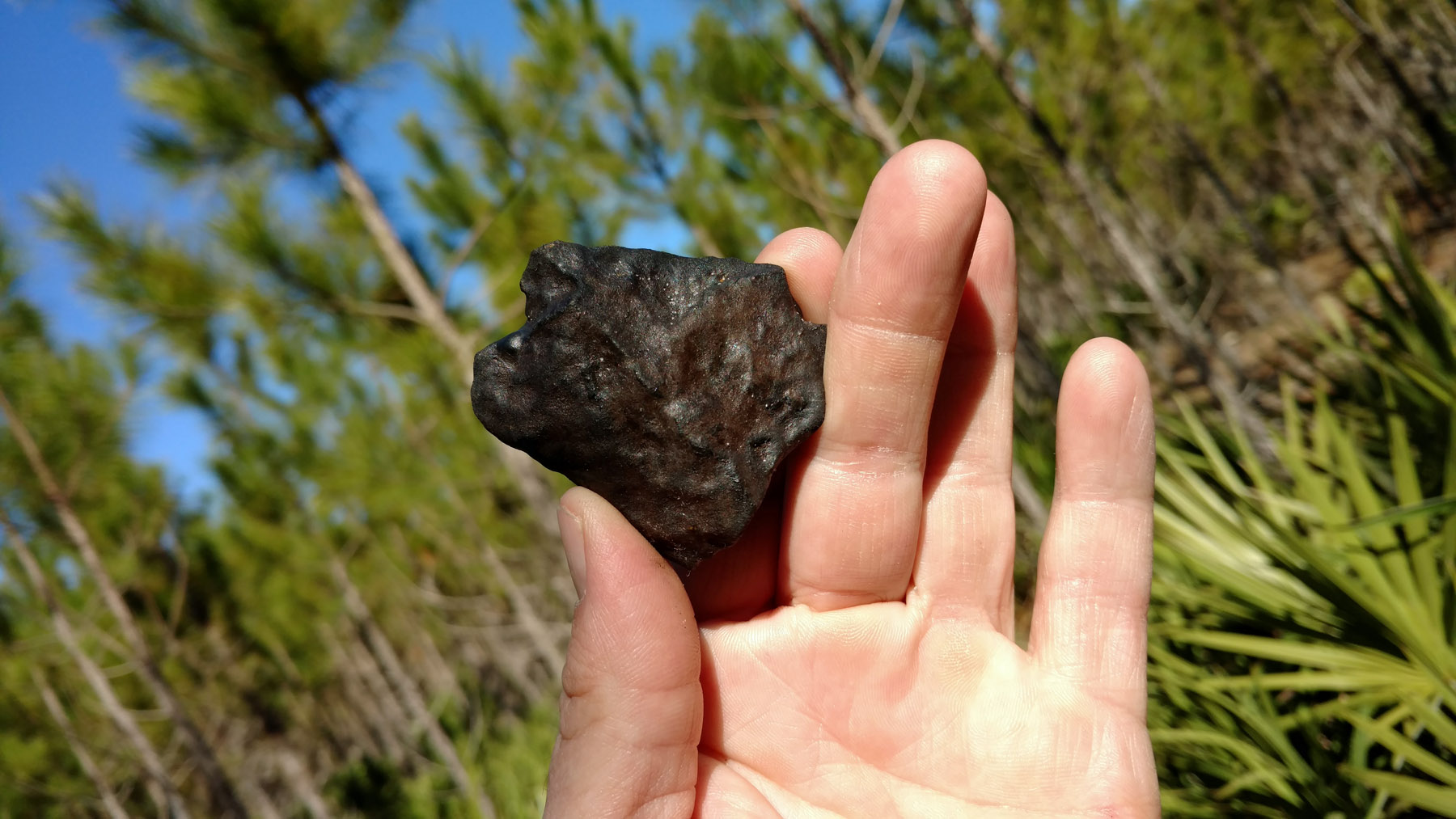 meteorite florida
