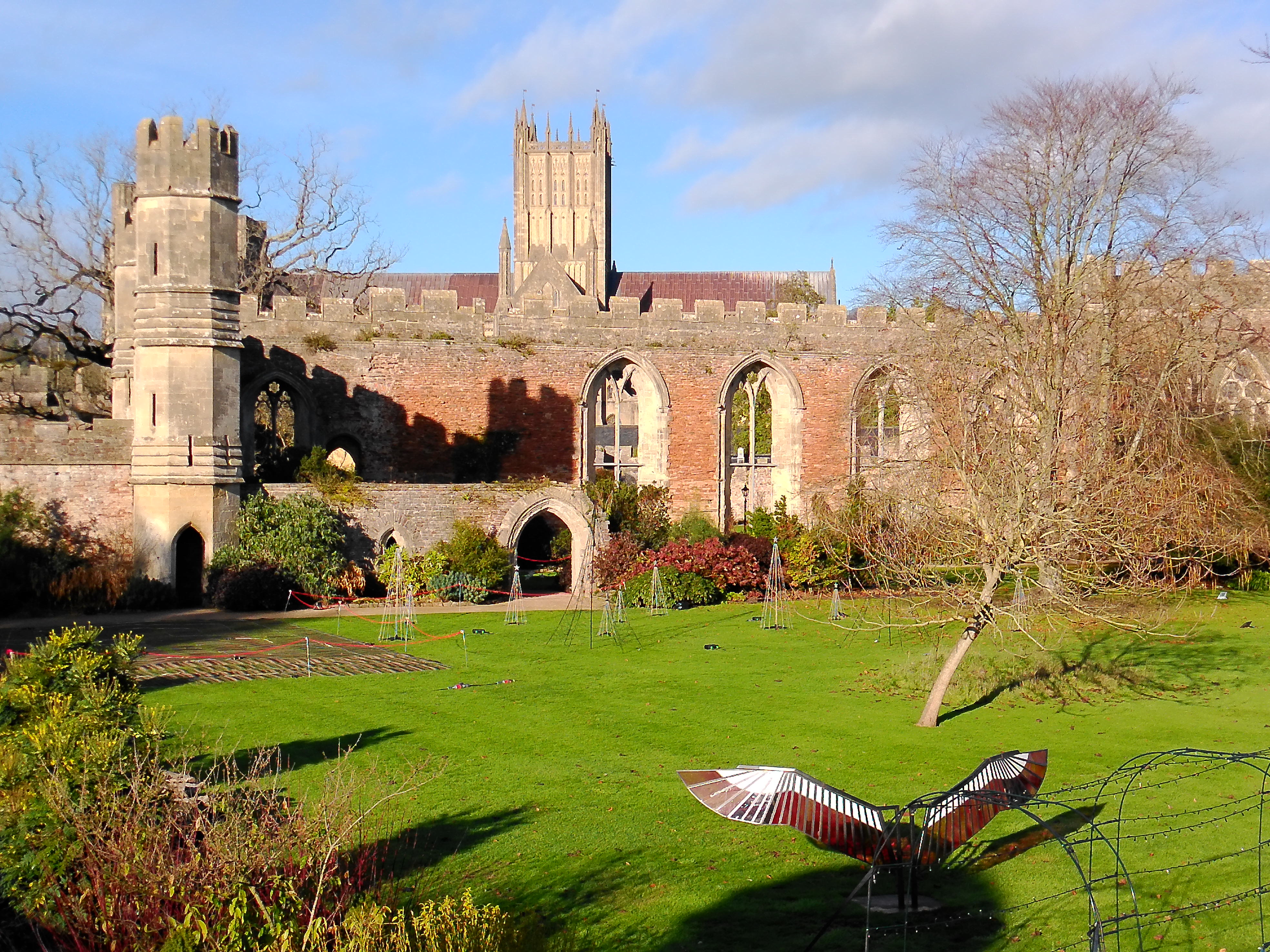 Yashica City 300 example shot