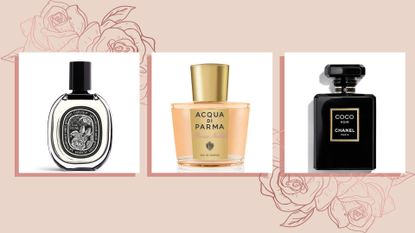 Collage of three rose perfumes, coco chanel, aqua di parma, diptyque on a beige backdrop