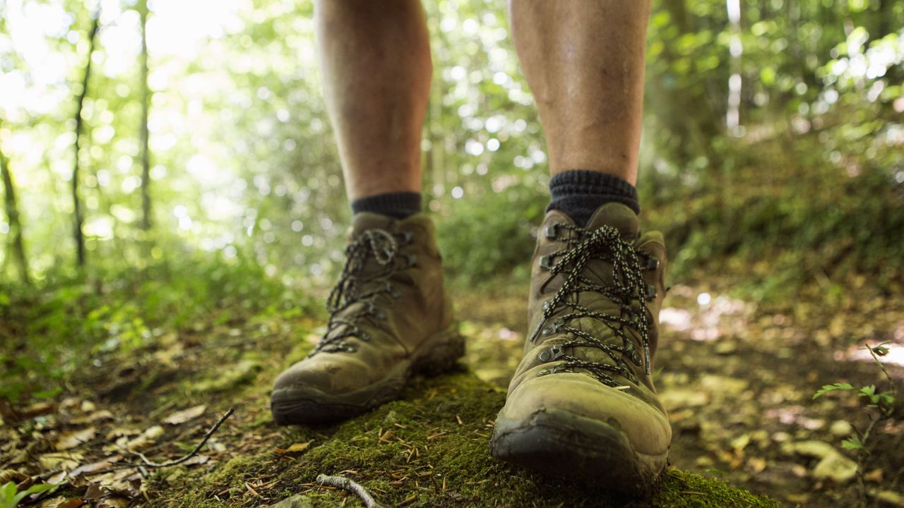 A pair of hiking boots in the wood