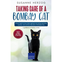 Taking Care Of A Bombay Cat | Amazon