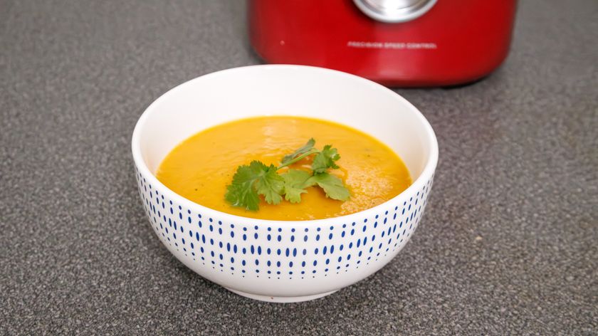 KitchenAid Pure Power Blender