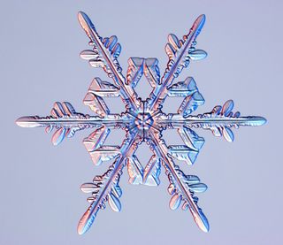 stellar dendrites, snowflakes, snow crystals, images of snow crystals, what snowflakes look like, snow crystal photographs, what snow looks like, snow flakes pictures, photographing snow crystals, snowflake images