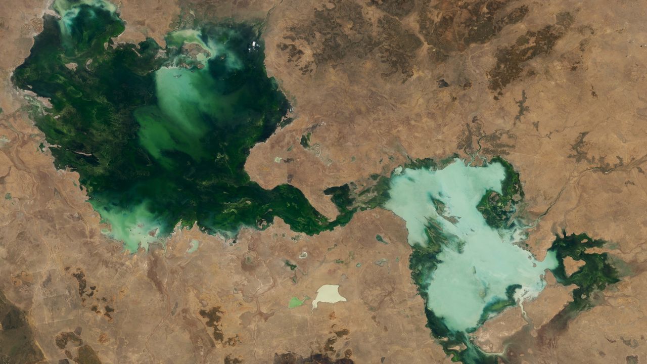 Ghostly green lakes merge in Australian outback after 2 years of heavy rain — Earth from space