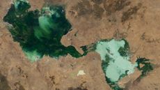 A satellite photo showing a massive green lake in the Australian outback
