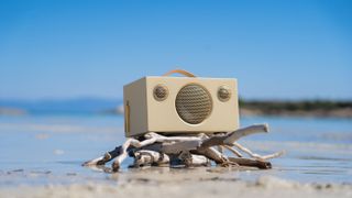 speaker on beach