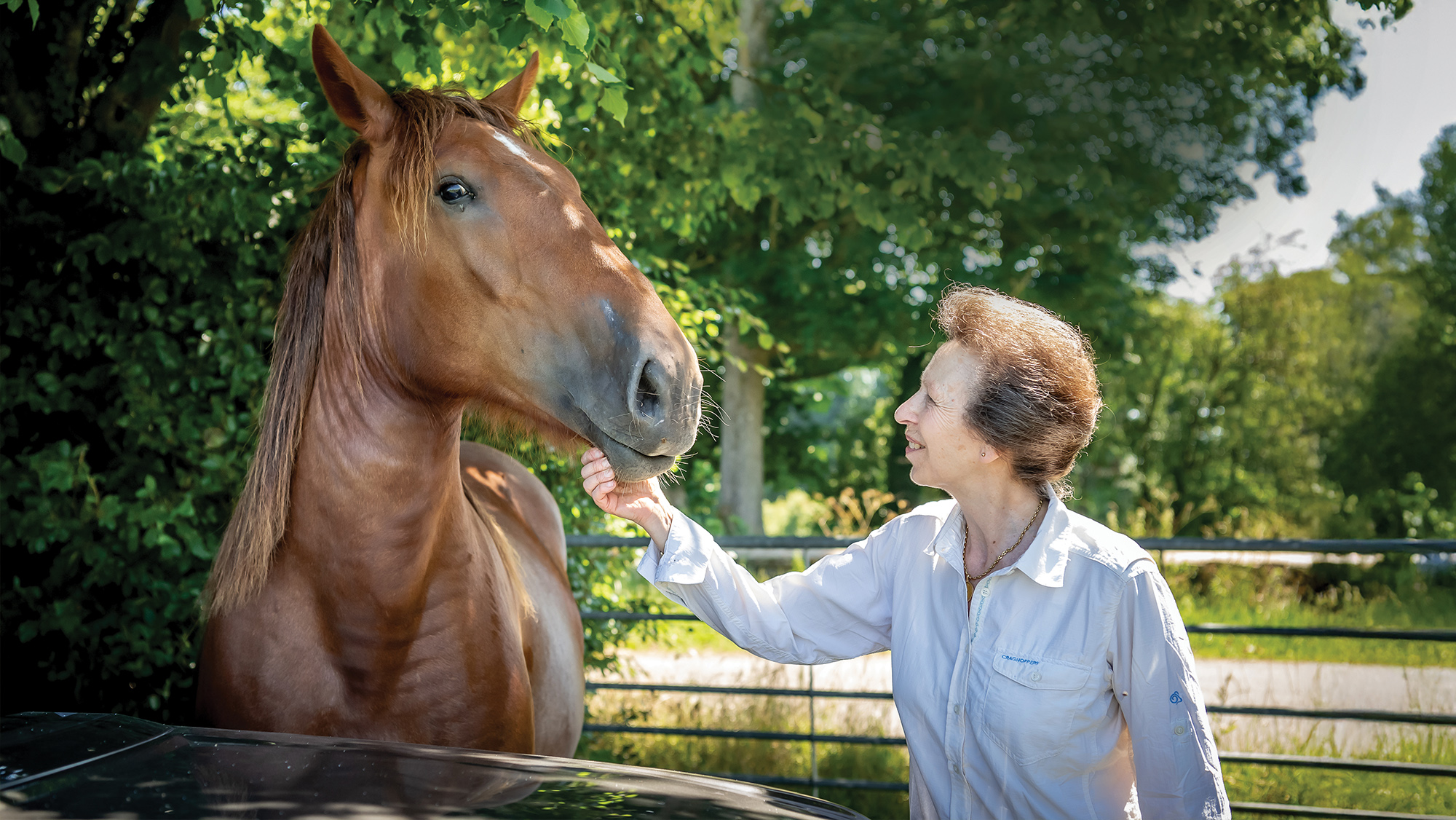 Princess Anne stroking the chin of a Suffolk horse