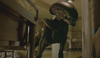Alien 3 Xenomorph