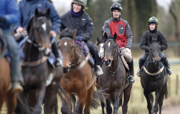 Andrew Nicholson Cheltenham Preview shoot riding Golden Jubilee26 02 2015