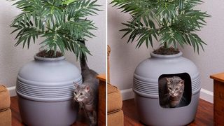 plant hidden litter box